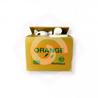 Копилка «котенок в коробке»