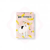 Обложка на паспорт «Недоумевающий кот»