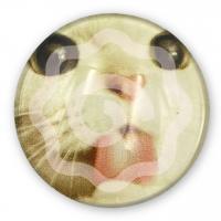 Попсокет "Котик"