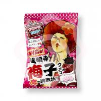 Конфеты жевательные «RIBON» с кислым центром со вкусом сливы 60 г (Япония) 1/12