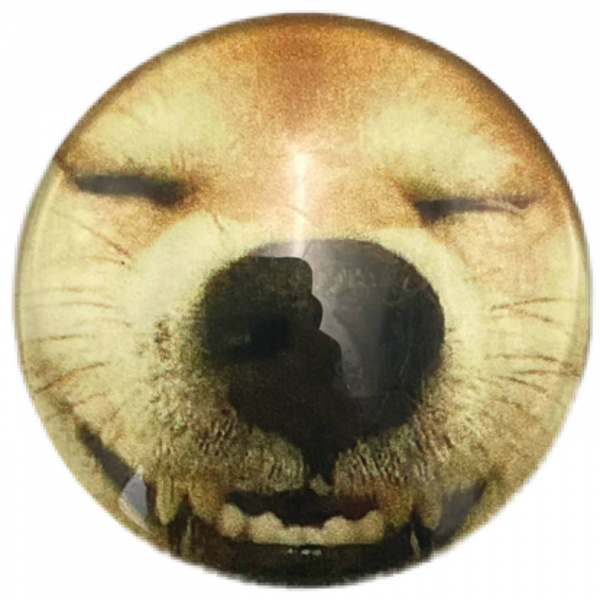 Попсокет «Spaca dog»